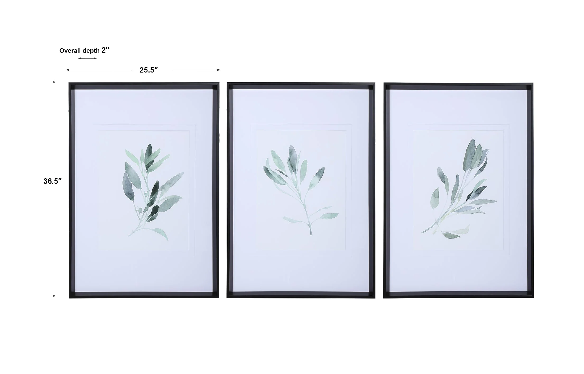 Simple Sage Framed Prints, S/3 - Image 5