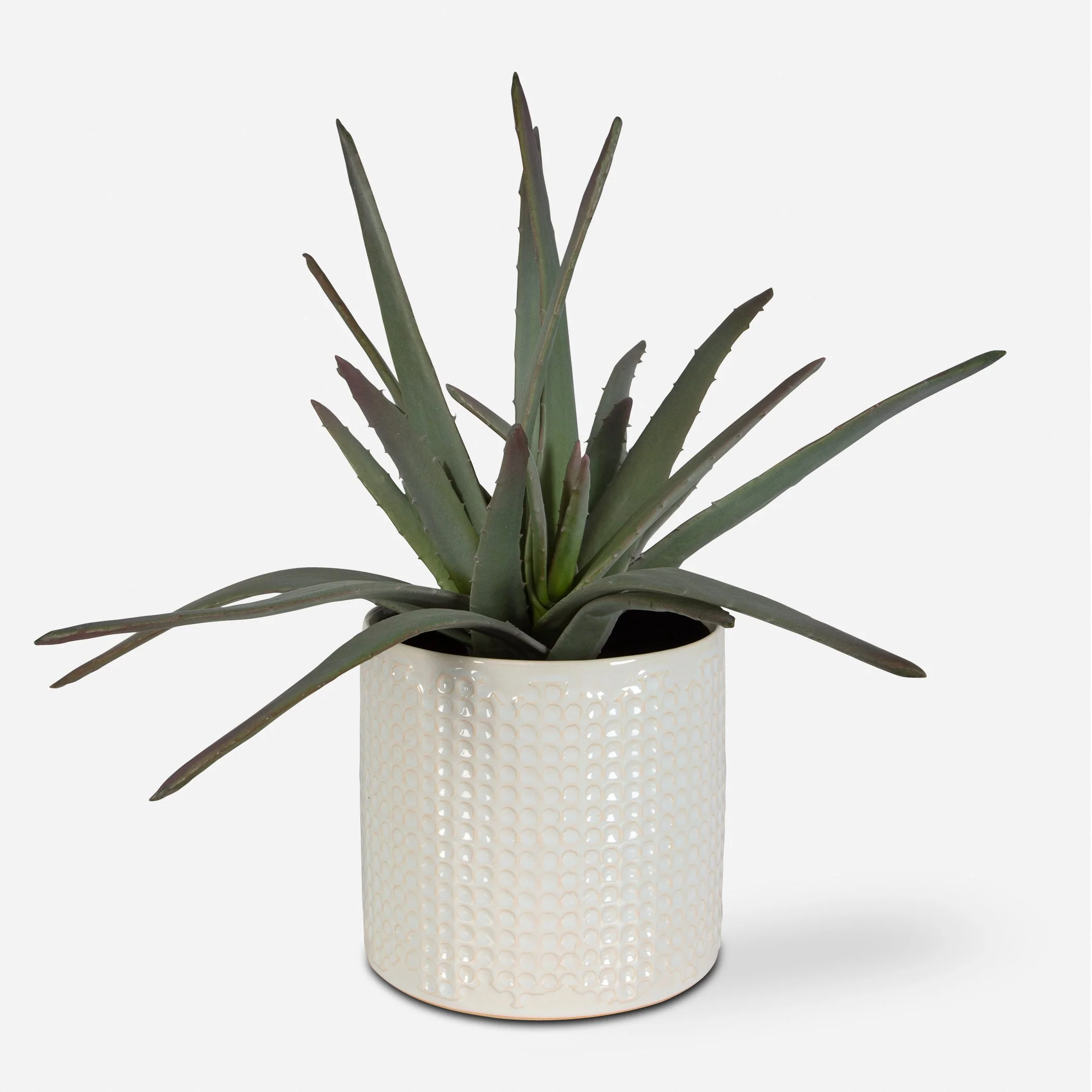Taos Aloe Centerpiece - Image 3