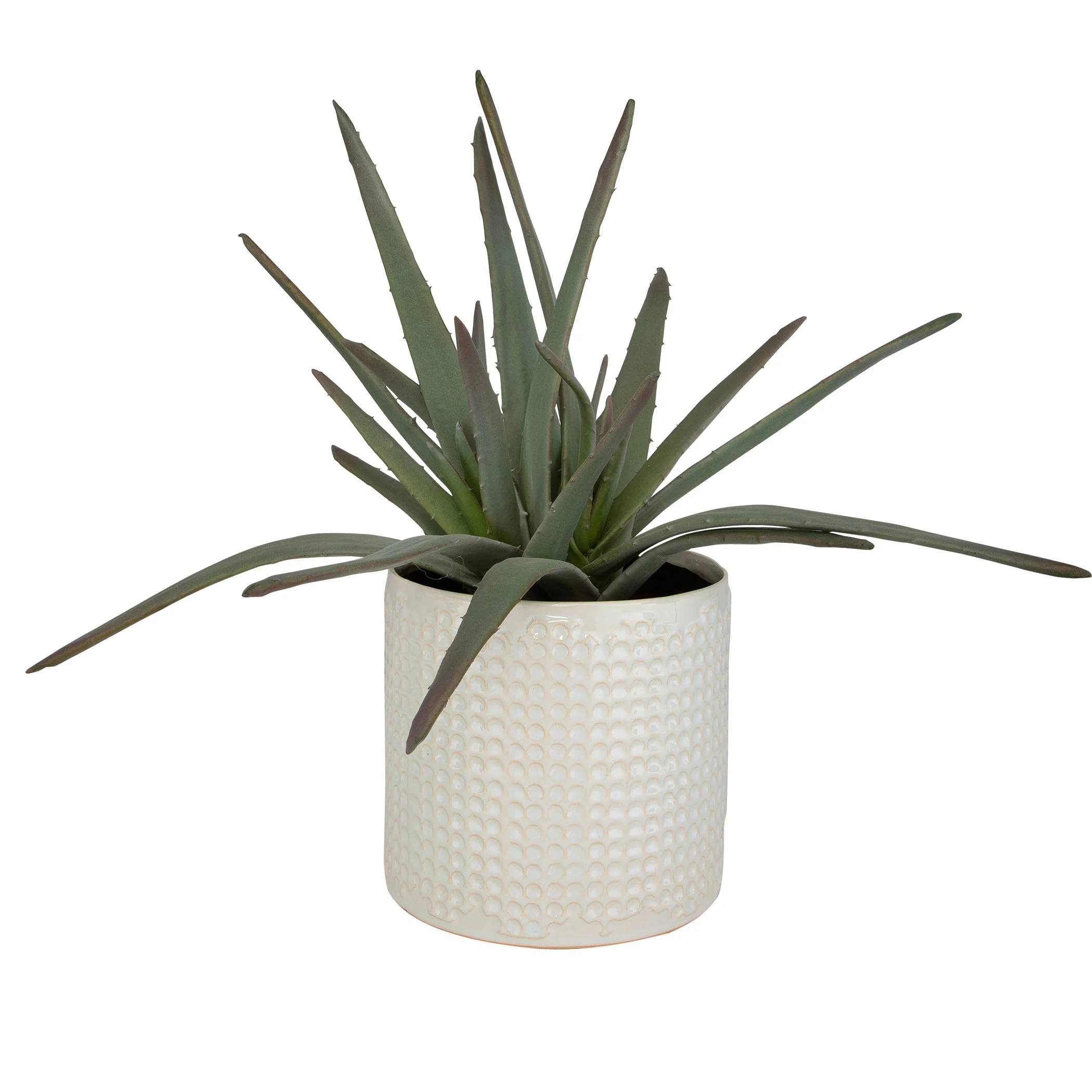 Taos Aloe Centerpiece - Image 6