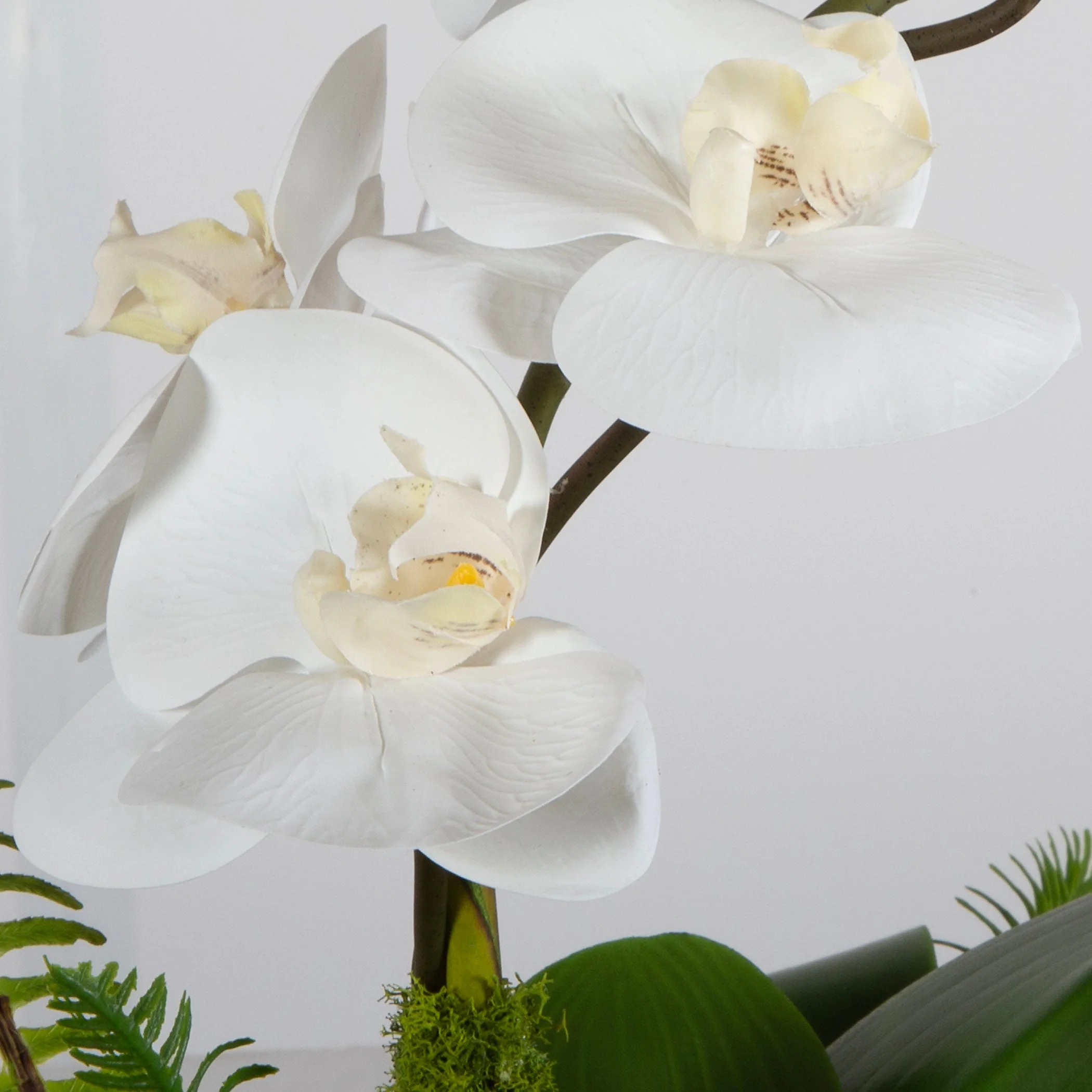 Transcend Orchid Centerpiece - Image 6