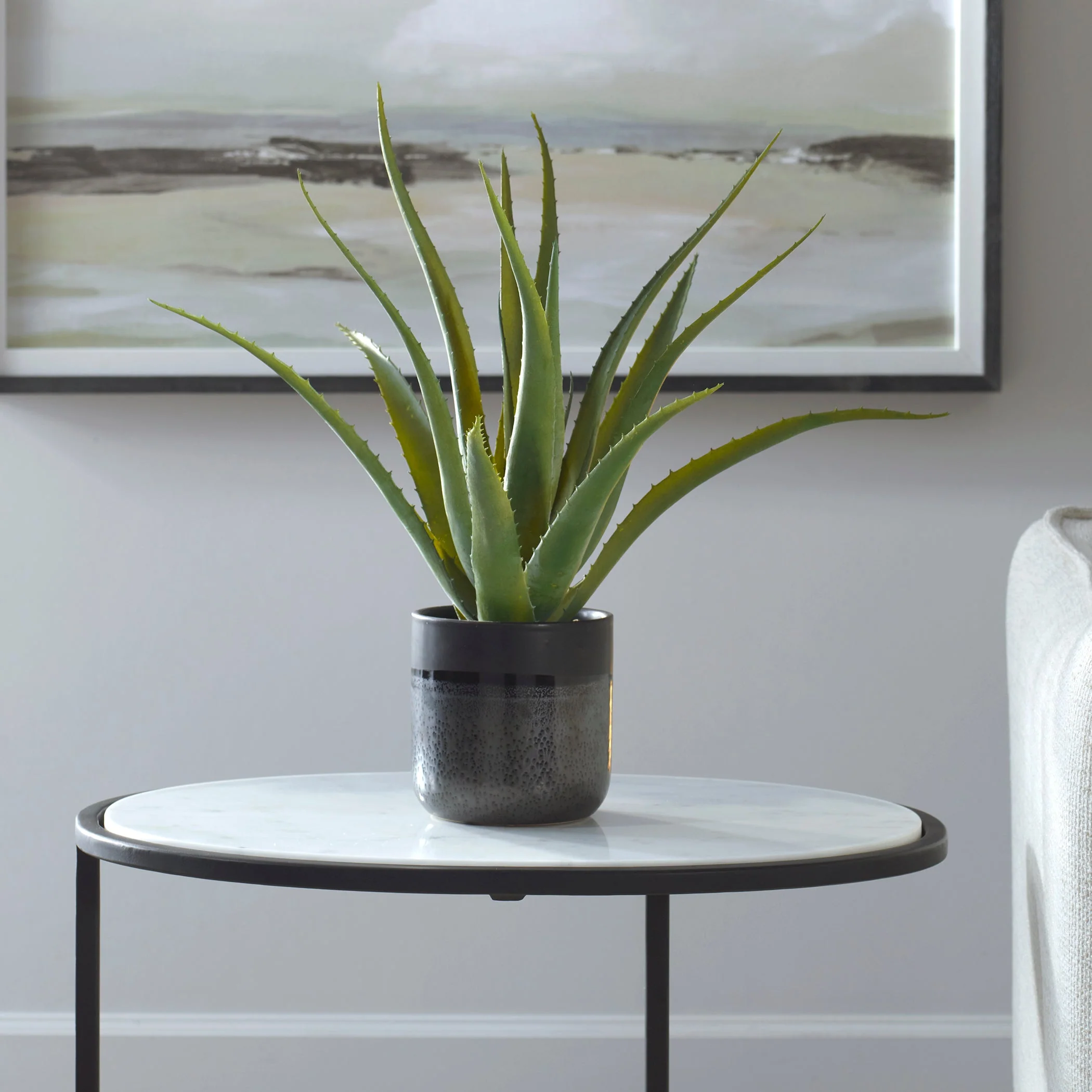Tucson Aloe Planter - Image 2
