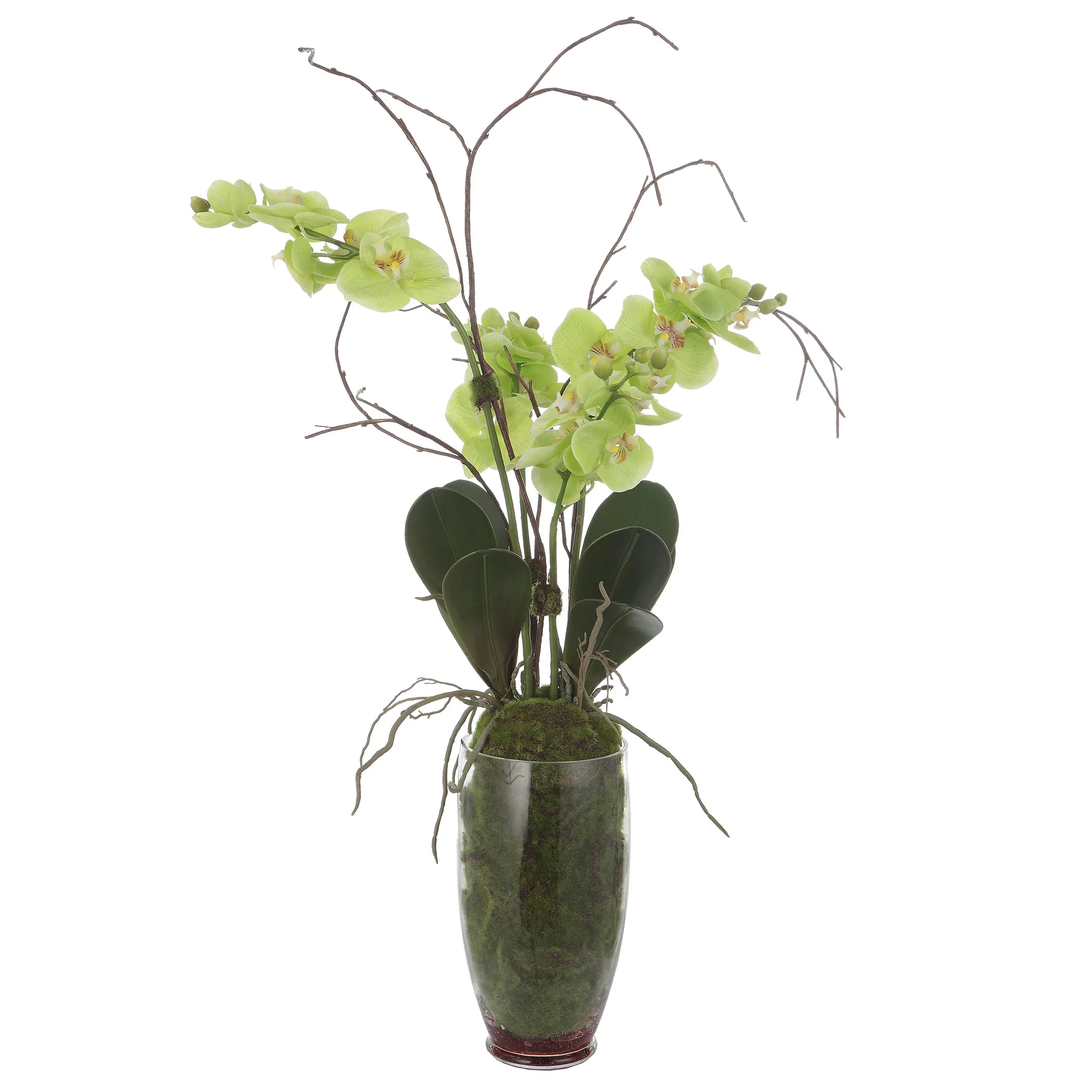 Valdive Orchid - Image 3