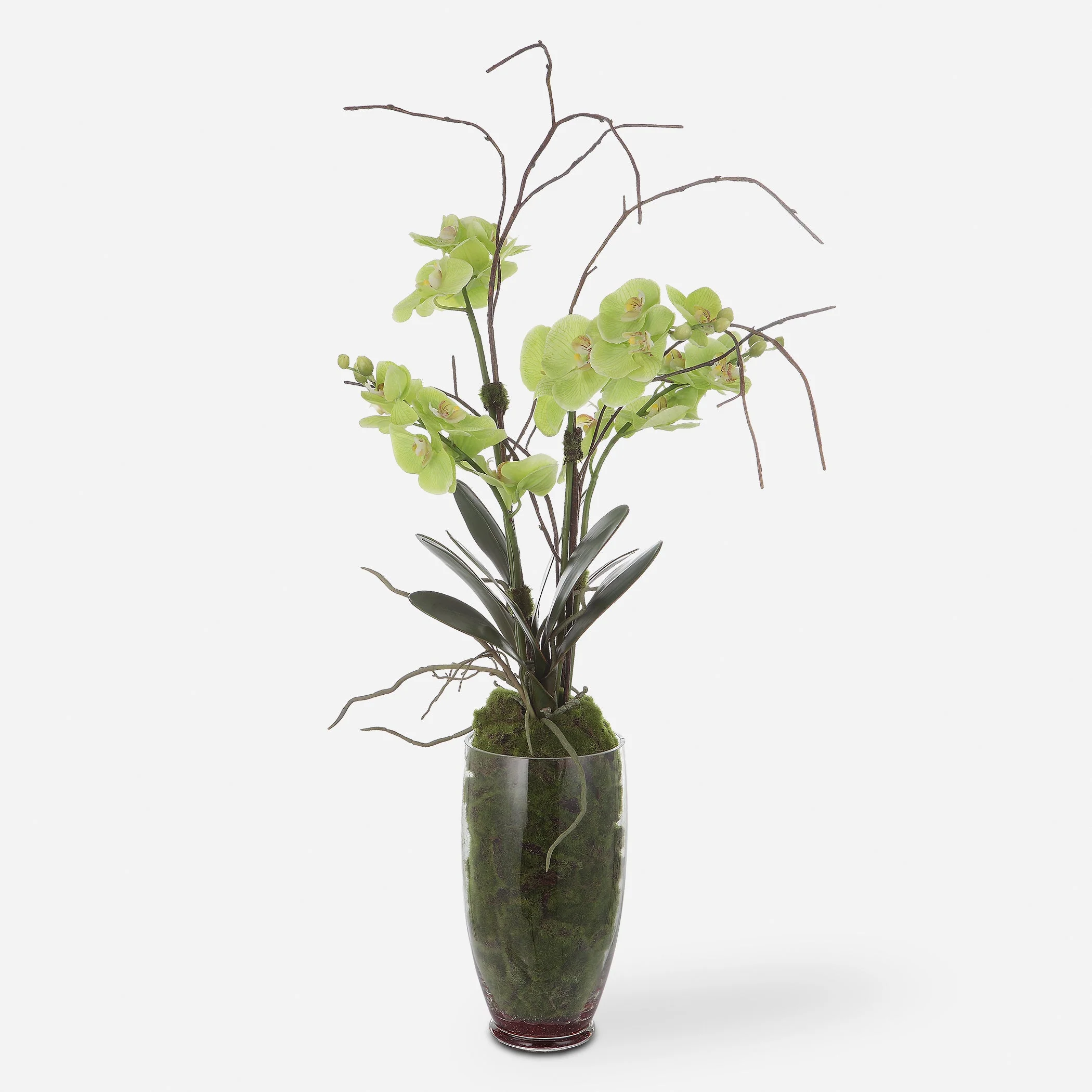 Valdive Orchid - Image 5