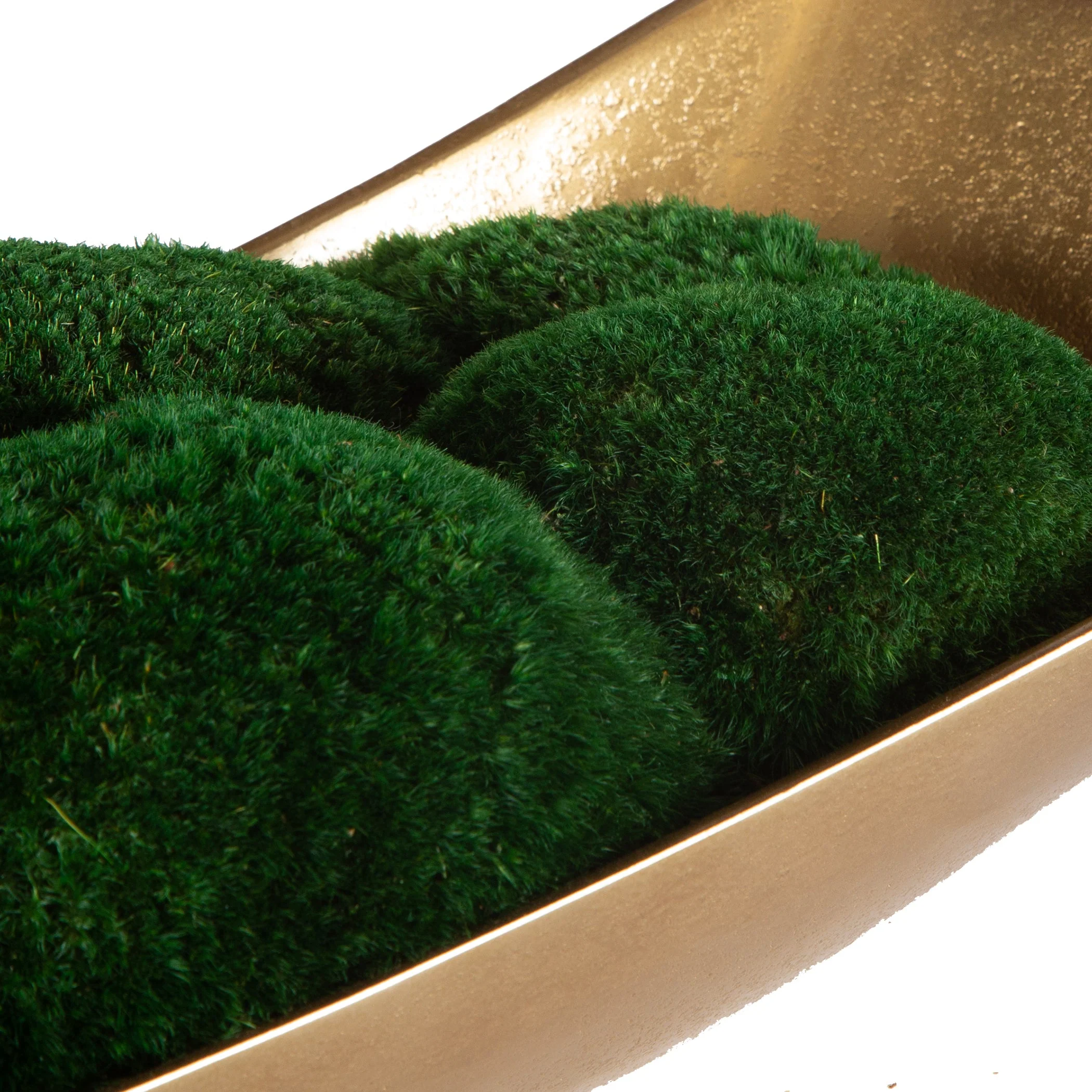 Venice Moss Centerpiece - Image 6